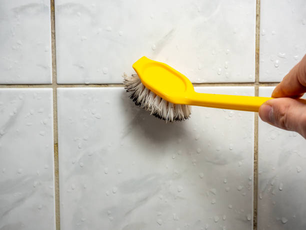 Best Local Mold Removal Service  in New Baltimore, MI