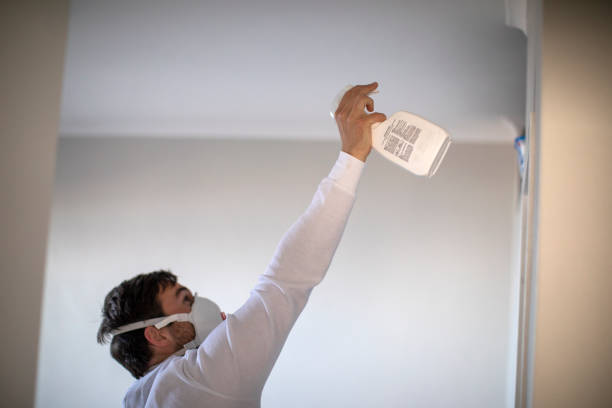 Mold Removal Process in New Baltimore, MI