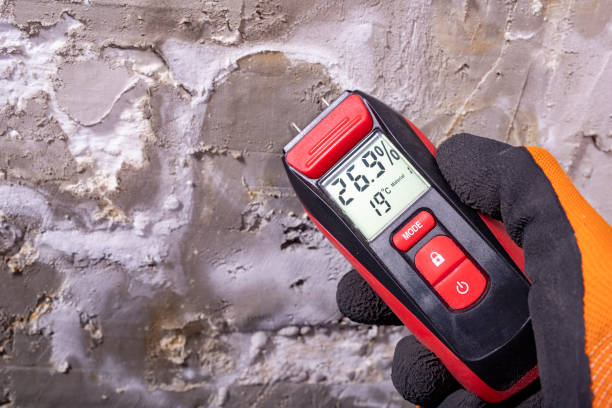 Best Certified Mold Removal  in New Baltimore, MI