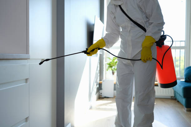 Best Commercial Mold Removal  in New Baltimore, MI