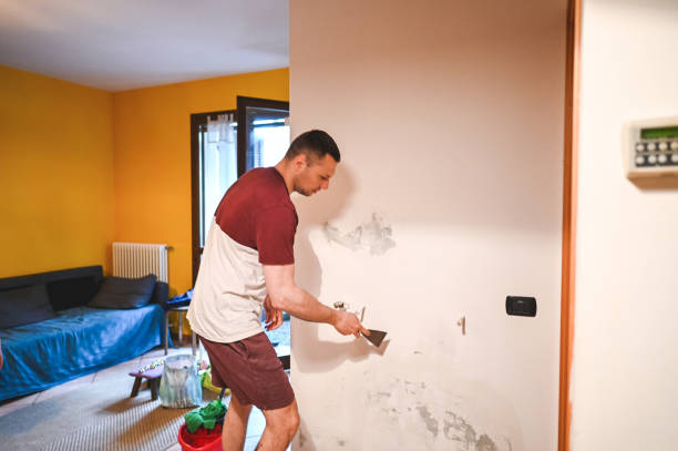 Best Same-Day Mold Removal  in New Baltimore, MI